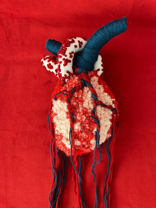 Coração 2 - T01, 002 - Coração de Lã Grande